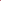 Anémone 'Levante® Fucsia'