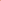 Anémone 'Levante® Rosa'