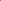 Anémone 'Mistral® Grape'