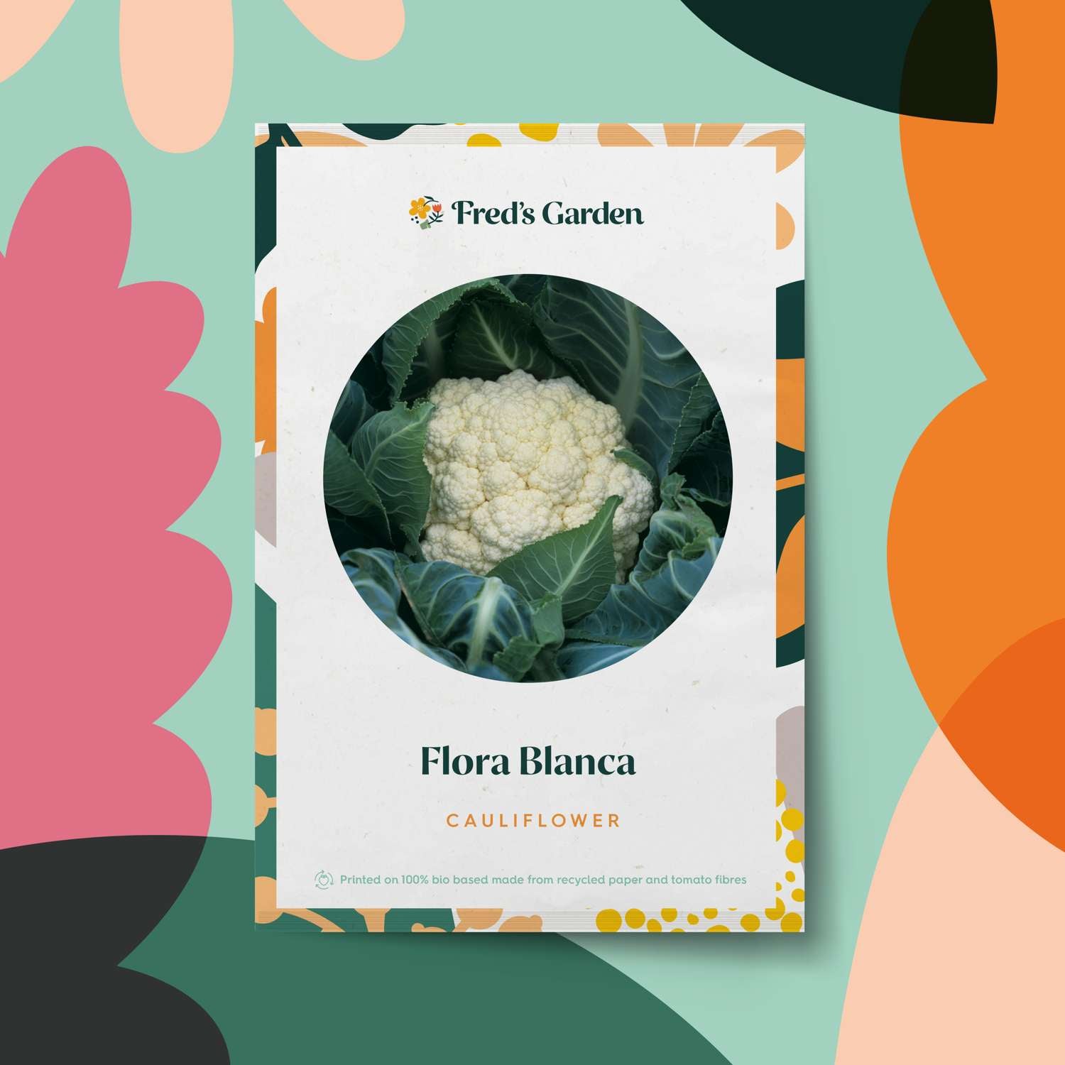 Chou-fleur 'Flora Blanca' (graines BIO)