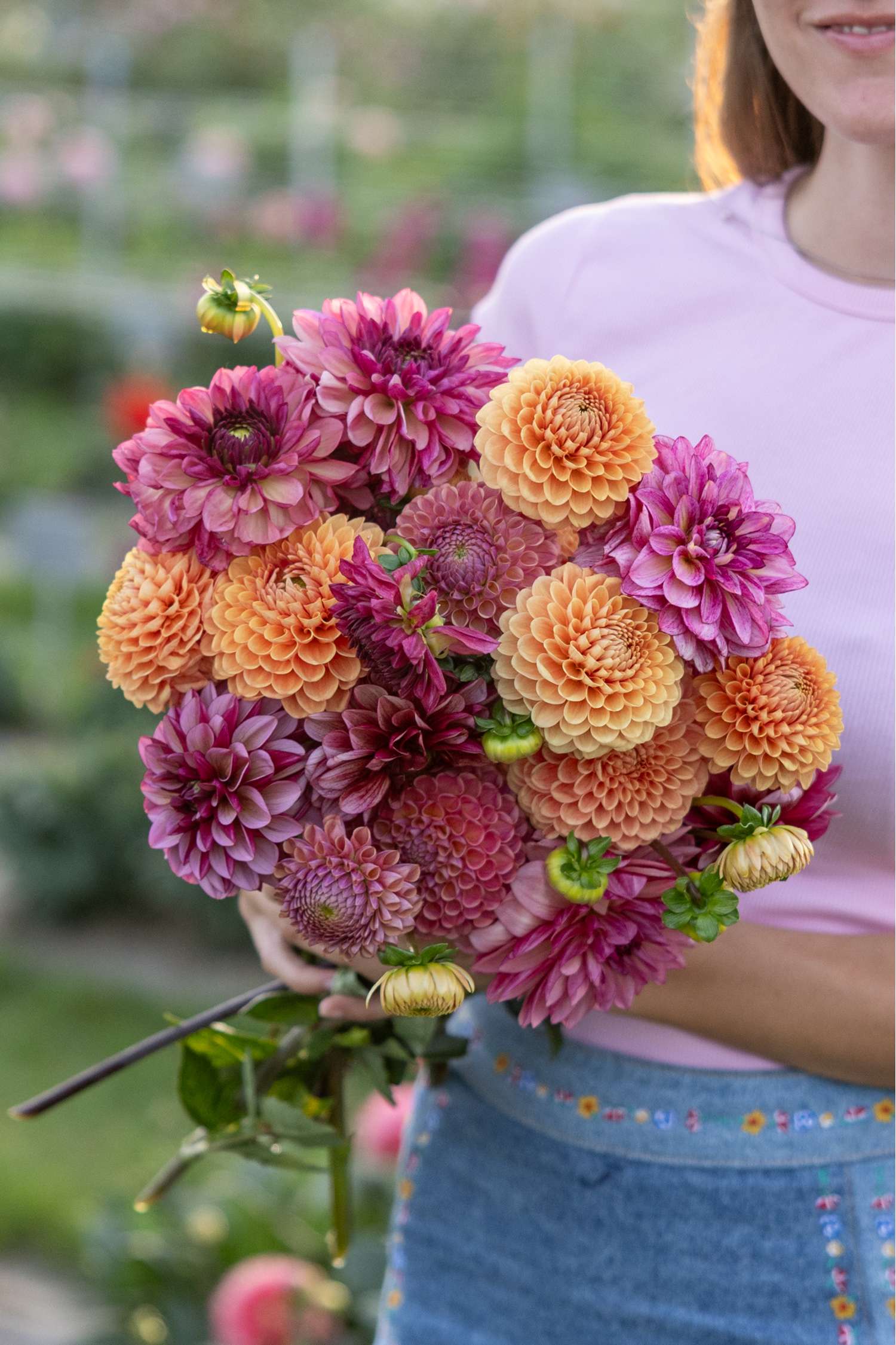 Mélange de dahlias 'Vintage Vibes'