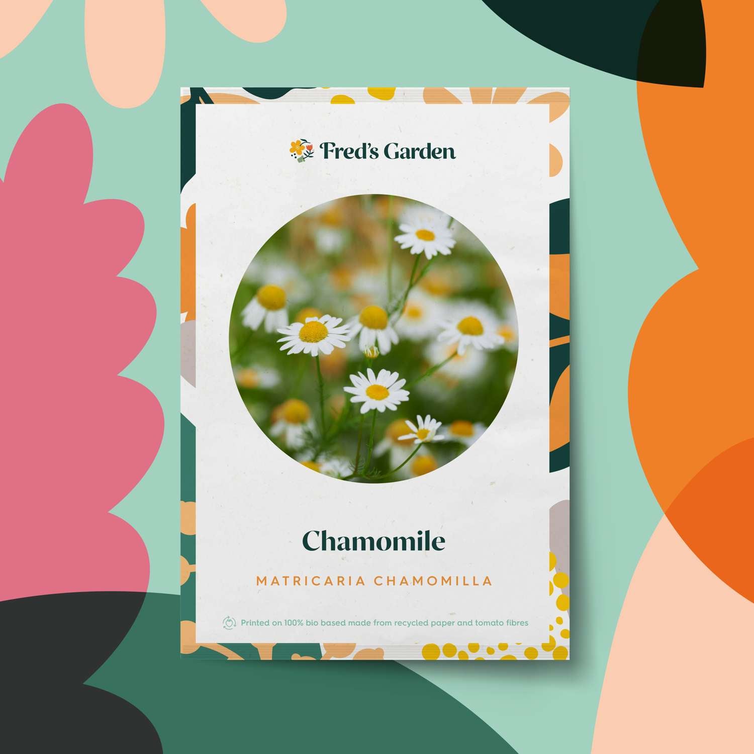 Camomille (graines BIO)