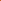 Renoncule 'Picotee Orange'