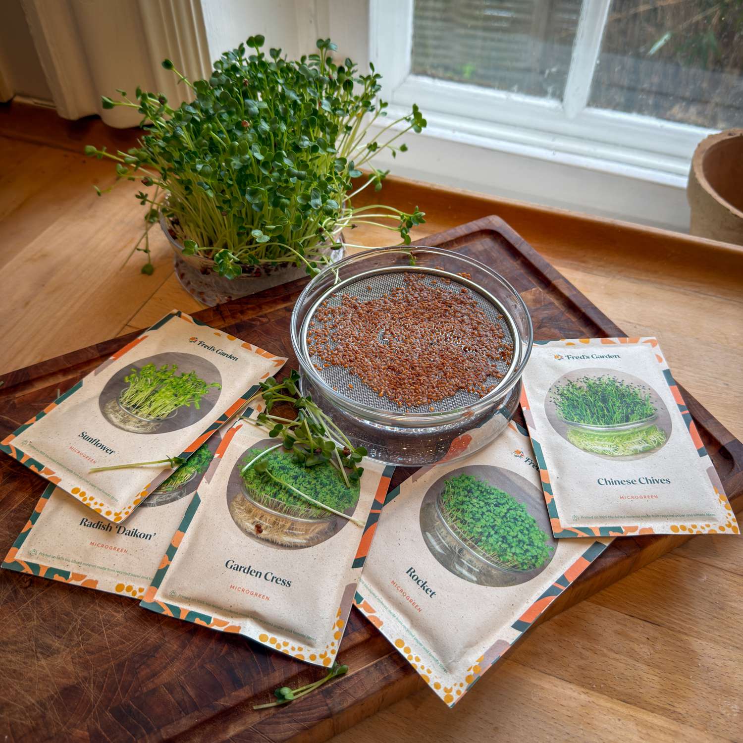 Coupelle de germination pour micro-pousses