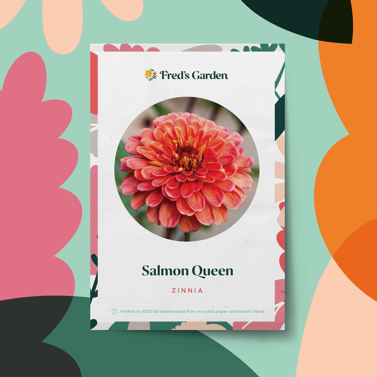 Zinnia 'Salmon Queen' (graines)